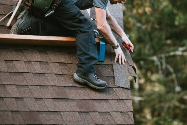 Best Roof Maintenance Services  in Lewistown, MT